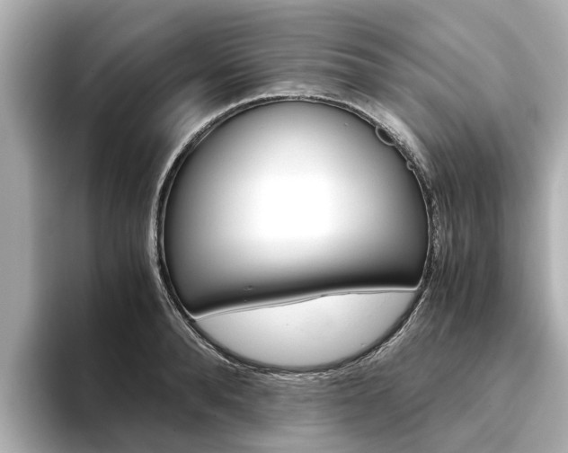 X0000093770896200710160854