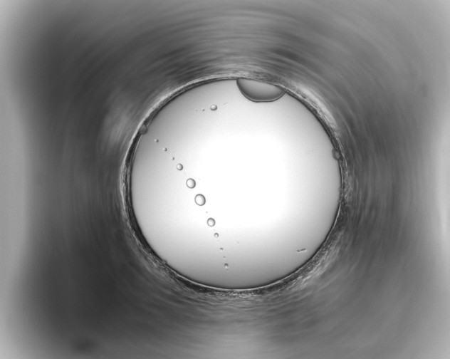 X0000093770899200710160854