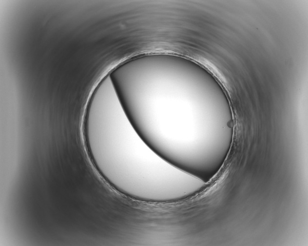 X0000093770901200710160854