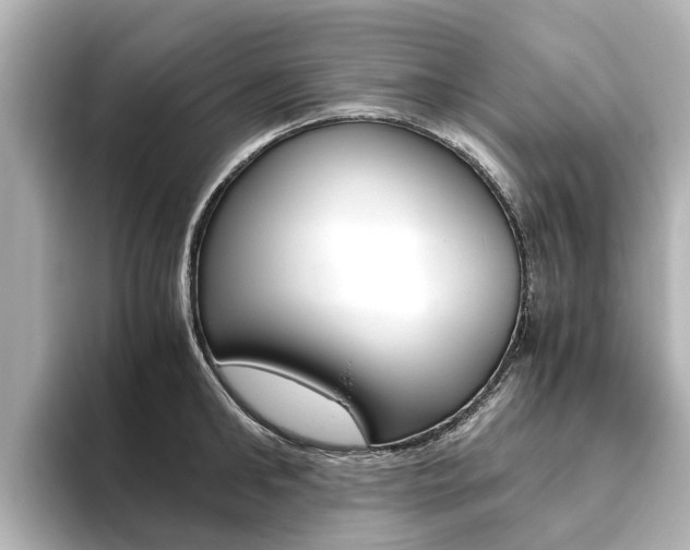 X0000093770902200710160854