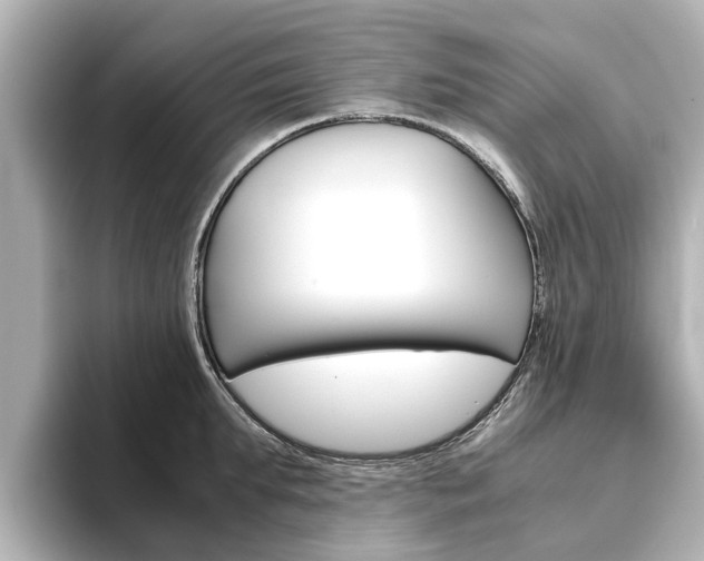 X0000093770903200710160854