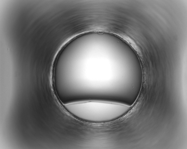 X0000093770904200710160854