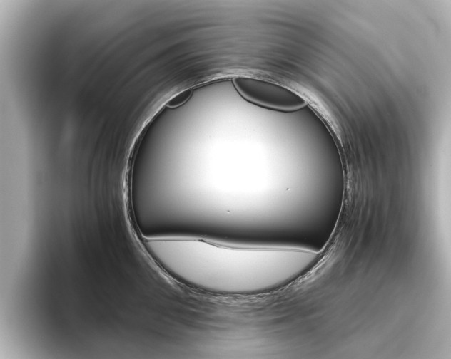 X0000093770906200710160854