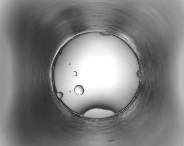 X0000093770907200710160854