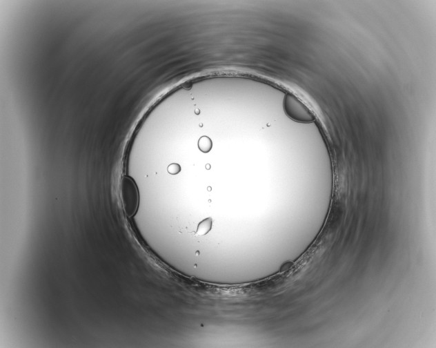 X0000093770911200710160854