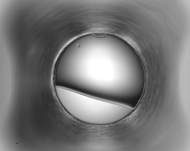X0000093770912200710160854