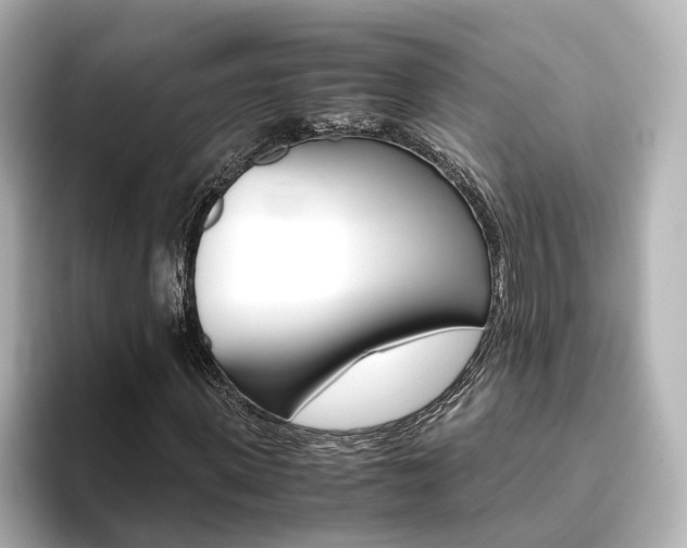 X0000093770915200710160853