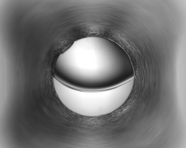 X0000093770916200710160853