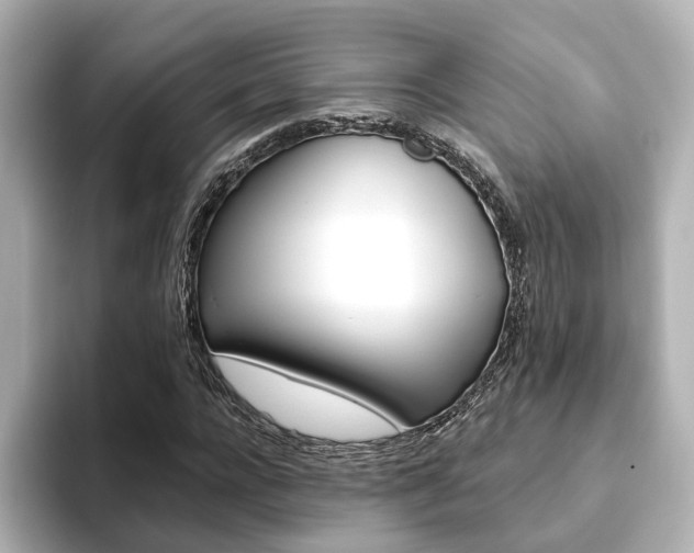 X0000093770920200710160853