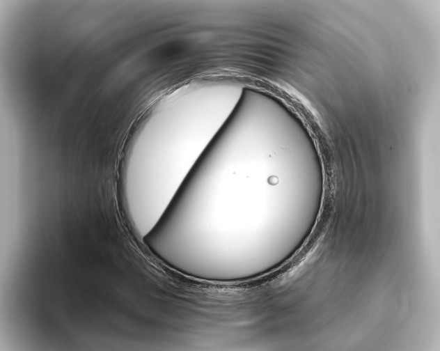 X0000093770921200710160853
