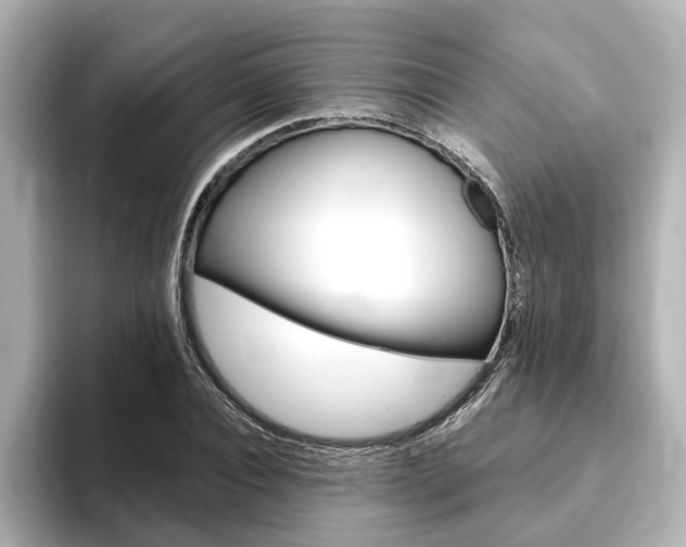 X0000093770928200710160853