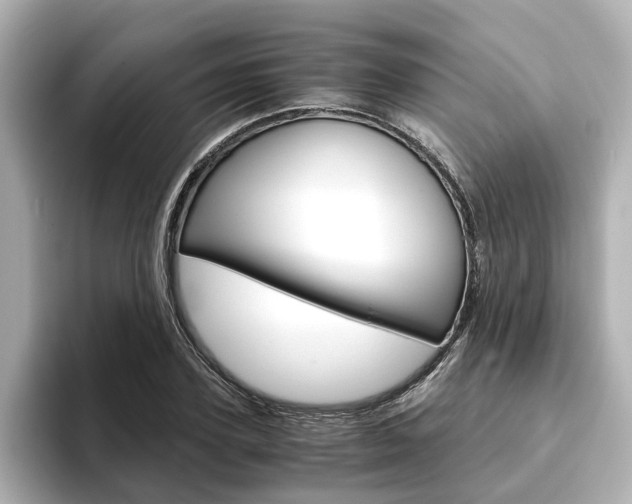 X0000093770931200710160853