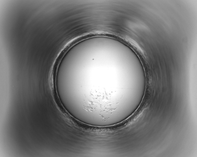 X0000093770934200710160853