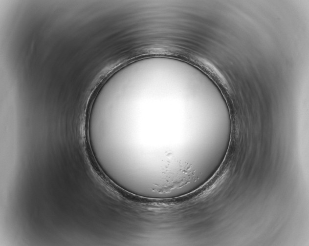 X0000093770938200710160853