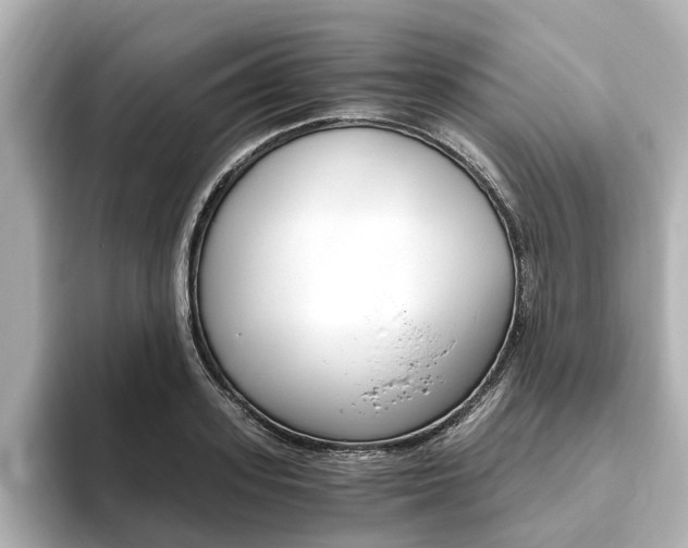 X0000093770939200710160853