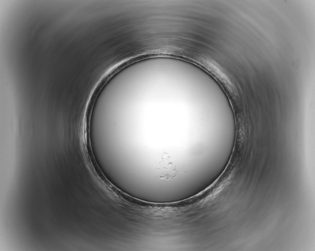 X0000093770940200710160853