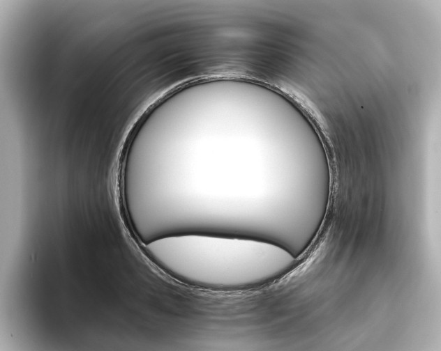 X0000093770941200710160853