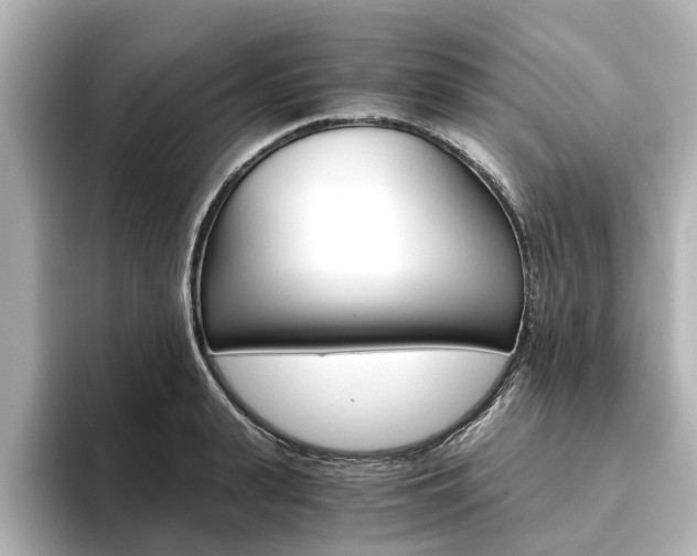 X0000093770943200710160853