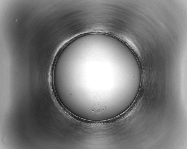 X0000093770944200710160853
