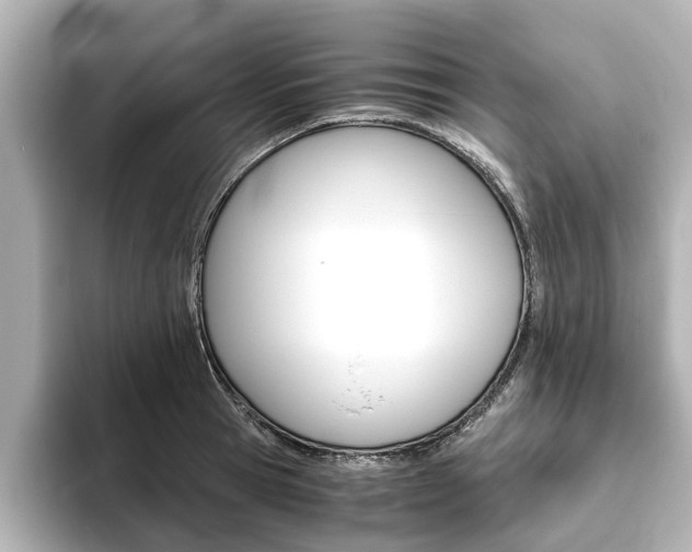 X0000093770945200710160853