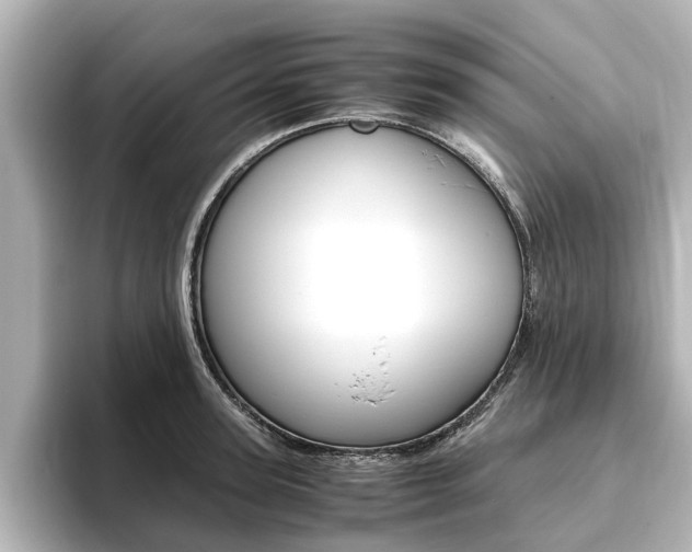 X0000093770947200710160854
