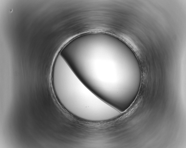 X0000093770948200710160854