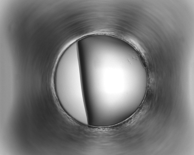 X0000093770952200710160854