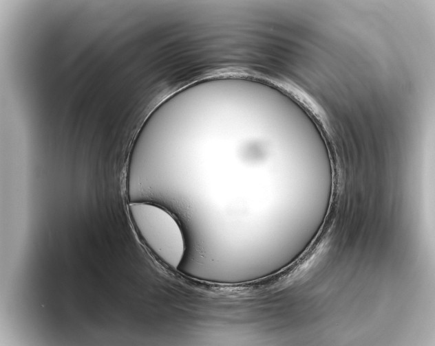 X0000093770953200710160854