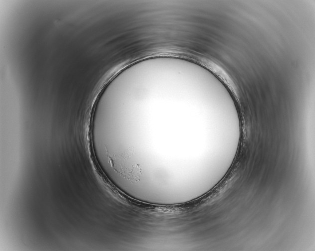 X0000093770954200710160854