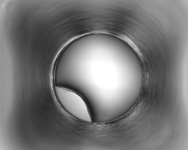 X0000093770955200710160854