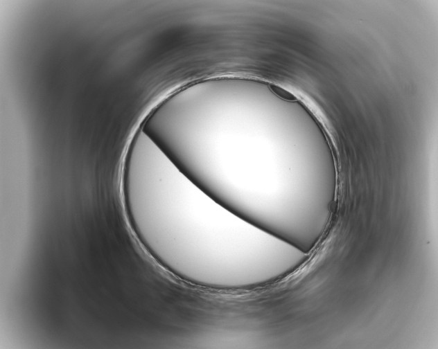 X0000093770957200710160854