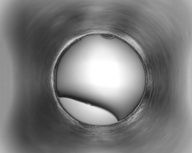 X0000093770958200710160854
