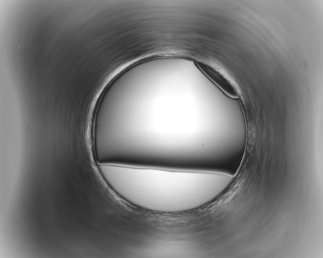 X0000093770959200710160854