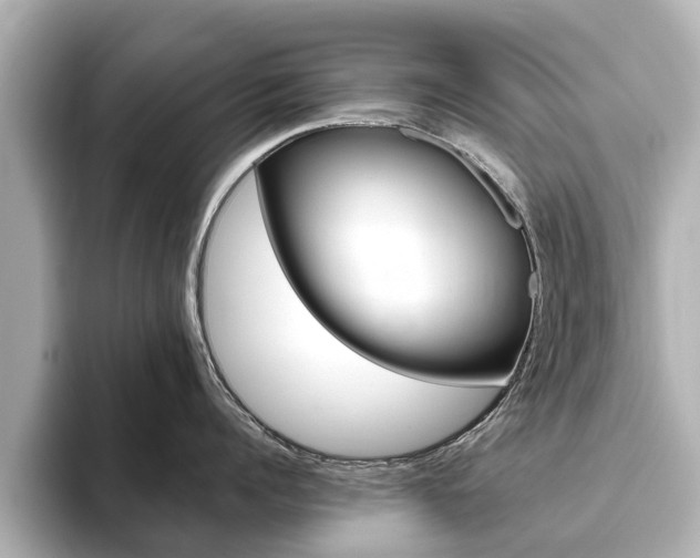 X0000093770960200710160854