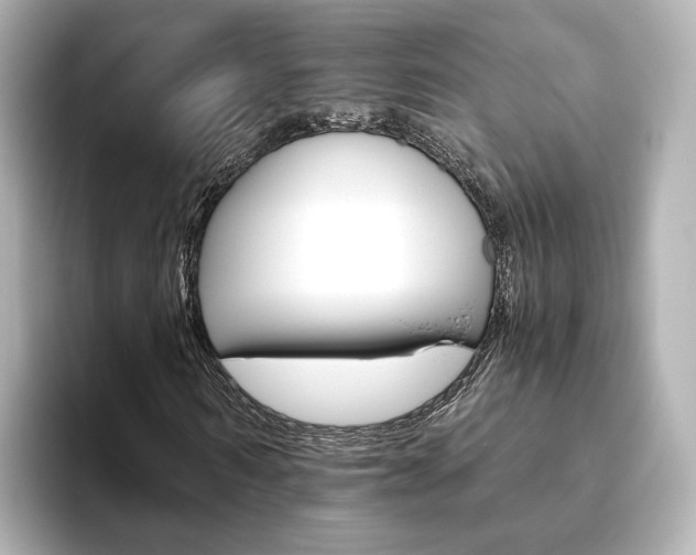 X0000093770962200710160853