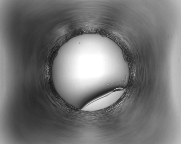 X0000093770964200710160853