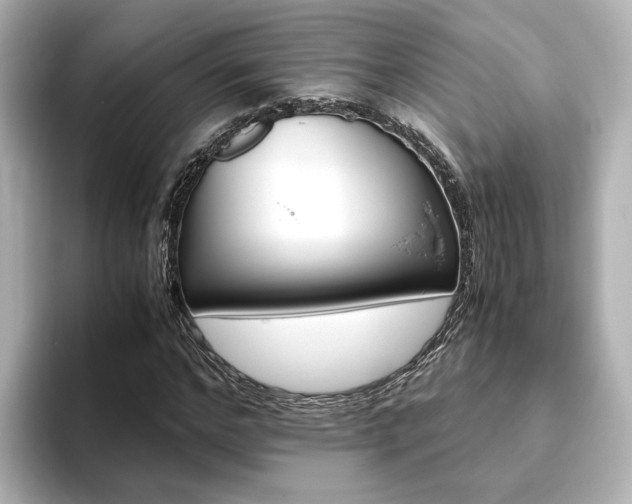 X0000093770968200710160853
