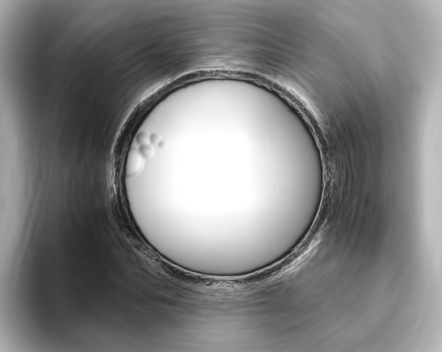 X0000093770974200710160853