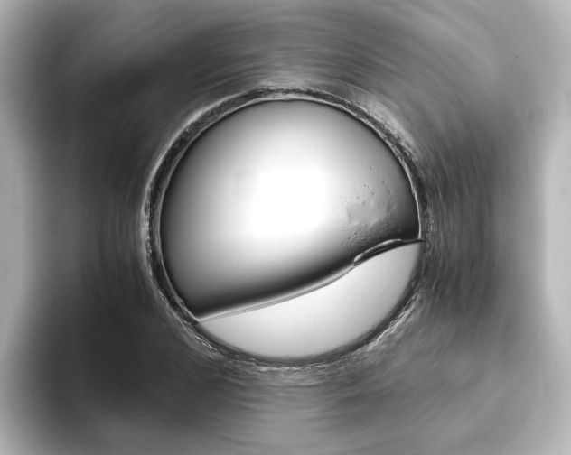 X0000093770976200710160853