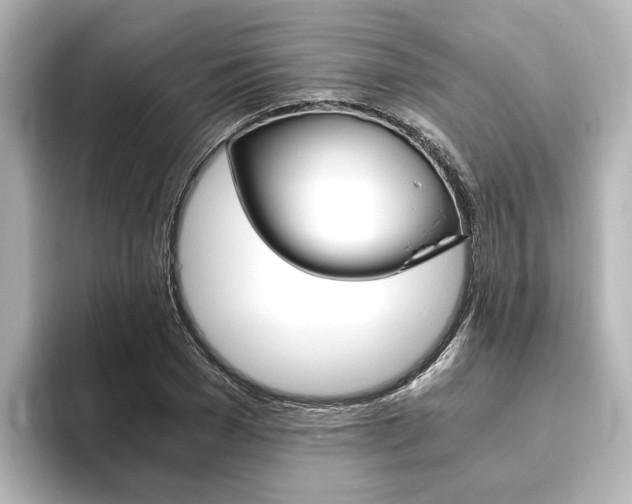 X0000093770977200710160853