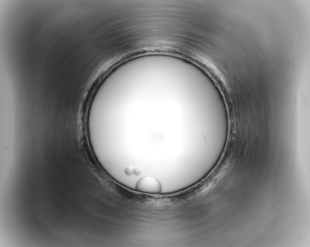 X0000093770978200710160853