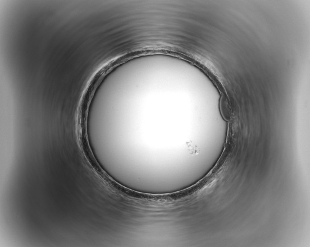 X0000093770979200710160853