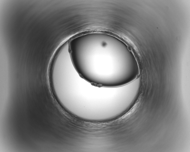 X0000093770981200710160853