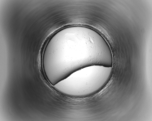 X0000093770982200710160853