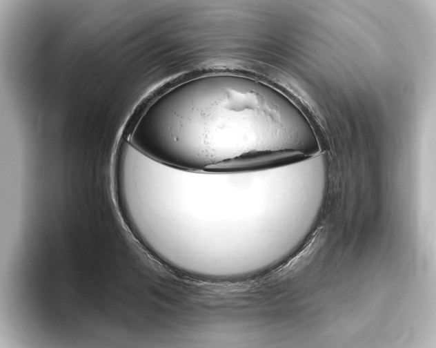X0000093770984200710160853
