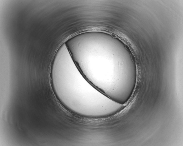 X0000093770985200710160853