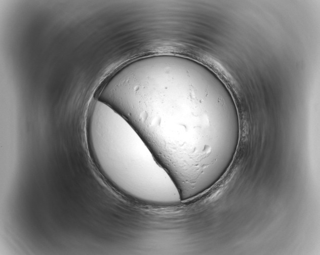 X0000093770986200710160853