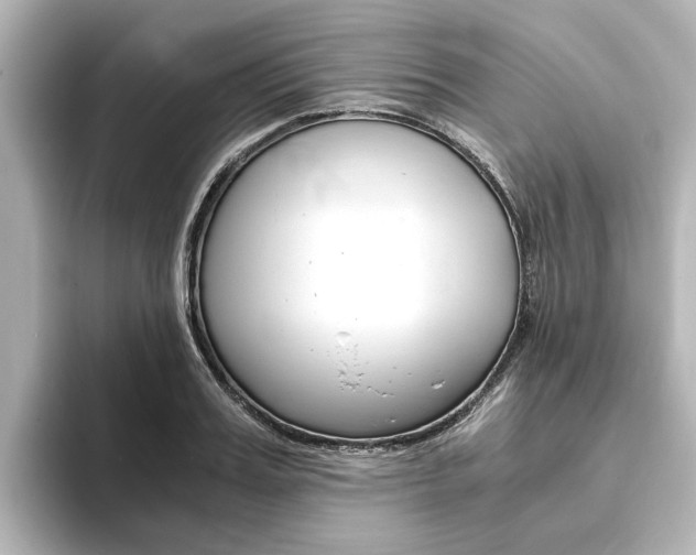 X0000093770987200710160853