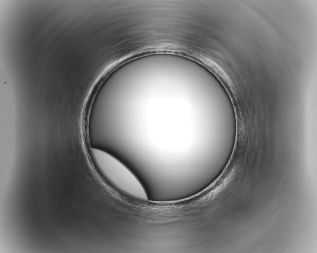 X0000093770989200710160853