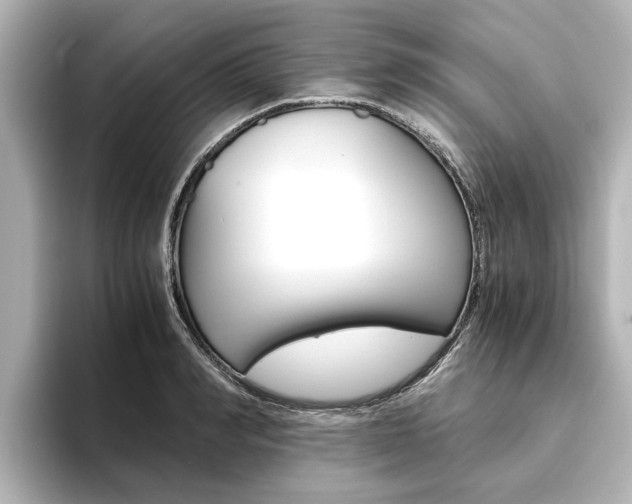 X0000093770990200710160853